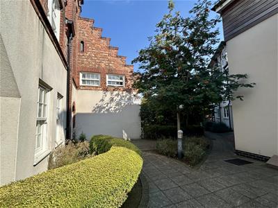 Picture 19